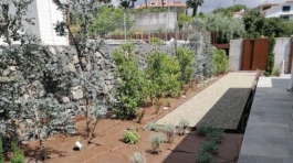 1. aiuola di benvenuto piantagione