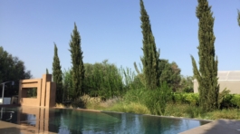 spazi di condivisione azienda agricola Terre Bianche Catania